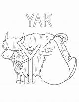 Yak Letter Y 1 Coloring Pages  Cool sketch template