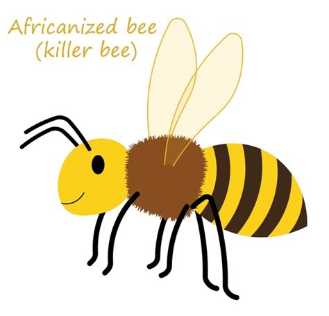 Africanized Killer Bee: Over 10 Royalty-Free Licensable Stock Illustrations & Drawings ...