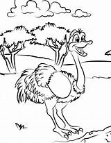 Free Printable Ostrich Coloring Pages For Kids sketch template