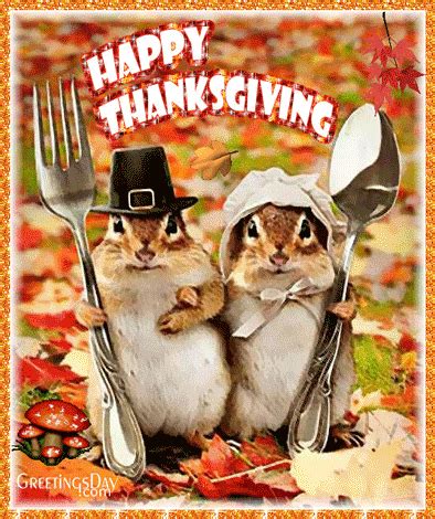 Happy Thanksgiving - Best Animated Gif Pictures