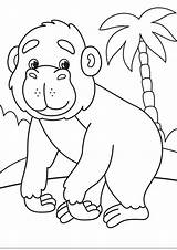 Coloring Pages  Cute Baby Gorilla For Kids sketch template