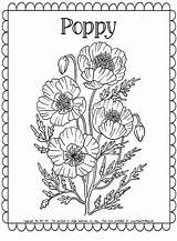 Poppy Flower Coloring Page  Free Homeschool Deals sketch template