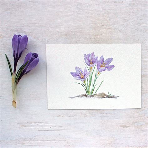 Purple Crocus Watercolor Print – Trowel and Paintbrush