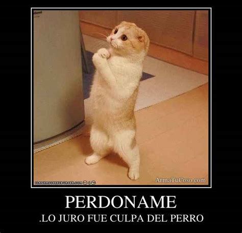 PERDONAME