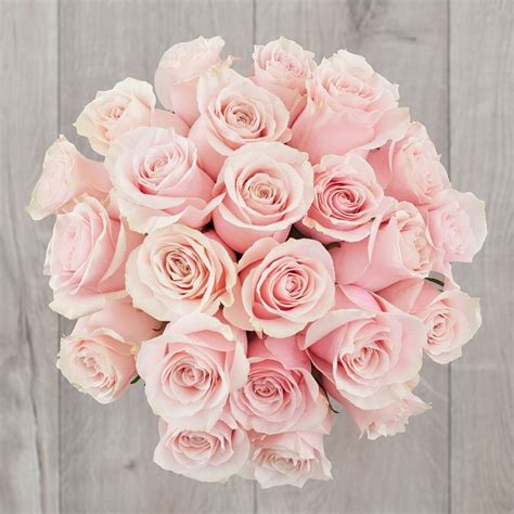 Pink Roses Bunch - Interflora