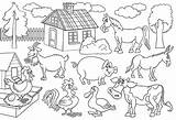 Animais Da Fazenda Para Imprimir Colorir E Desenhar  sketch template