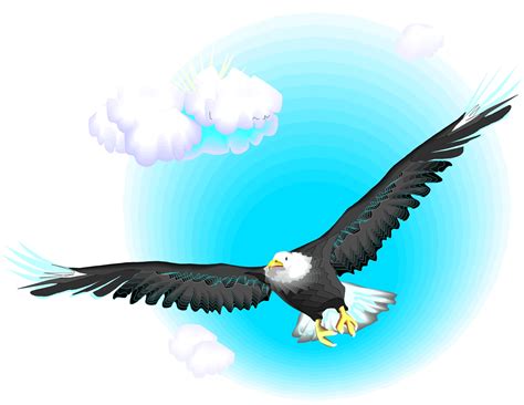 Free Cartoon Eagle Flying, Download Free Cartoon Eagle Flying png ...