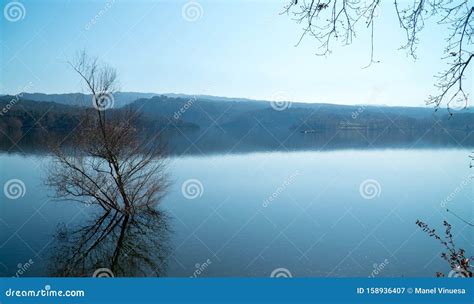 Sau Reservoir, Catalonia / Spain Stock Image - Image of tree, dawn ...