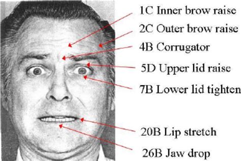 Facial Action Coding System – Telegraph