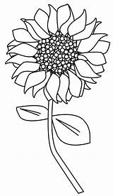 Sunflower coloring Pages  100 Free sketch template