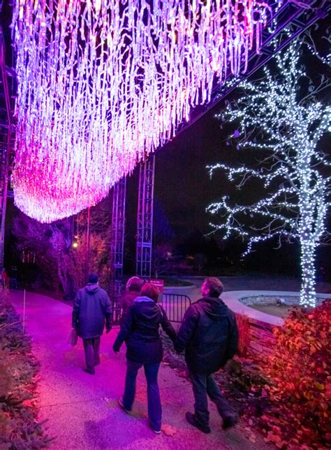 Illumination: Tree Lights at The Morton Arboretum | Holiday Light Show