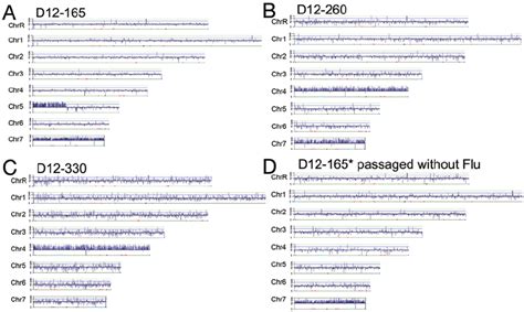 Changes in aneuploid chromosomes are common during adaptation to... | Download Scientific Diagram