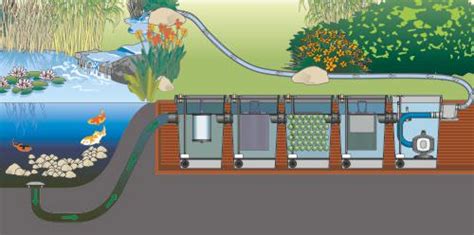 How To | Designing Fish Pond Filtration | World of Water