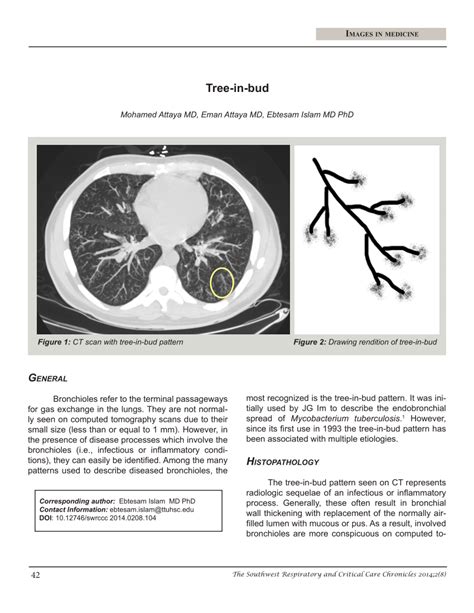 (PDF) Tree-in-bud