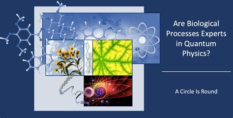 Quantum Biology Archives | A Circle Is Round | Science Writing