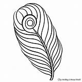 Peacock Feather Coloring Pages  Free & Printable sketch template