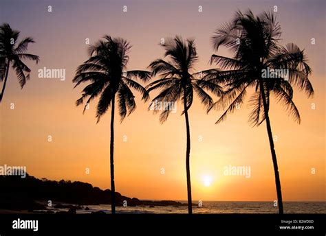 Sunset at Agonda Beach, South Goa, India, Asia Stock Photo - Alamy