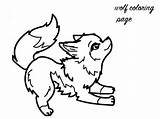 Baby Wolf Pup Coloring Pages sketch template