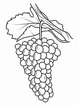 Dibujos De Uvas Para Colorear E Imprimir– ColoringOnlyCom sketch template
