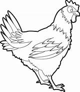 Printable Chicken Coloring Page For Kids – SupplyMe sketch template