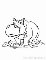 Hippo Coloring Pages  16 Free Printable Coloring sketch template