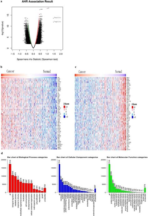 The relationship between AHR and its associations and gene set ...