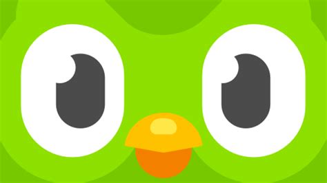 Why does the Duolingo owl scare me more than my high school Spanish teacher ever did? | Mashable