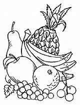 Plato De Frutas Para Colorear Imprimir E Dibujar –ColoringOnlyCom sketch template