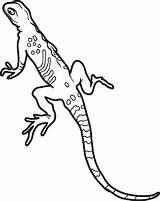 Printable Lizard Coloring Page For Kids – SupplyMe sketch template