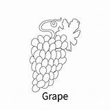 Easy Fruits Coloring Pages For Kids And Toddler grape 9201038 Vector  sketch template