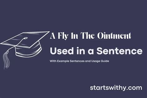 A FLY IN THE OINTMENT in a Sentence Examples: 21 Ways to Use A Fly In The Ointment