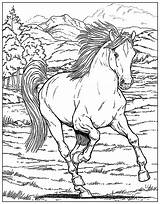 Detailed Horse Coloring Pages sketch template
