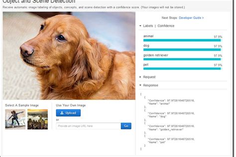 Amazon’s image recognition AI can identify your dog down to its breed ...