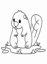 Animal Cartoon Beaver Coloring Page  Free Printable Pages sketch template