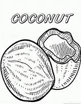 Coconut Coloring Pages sketch template