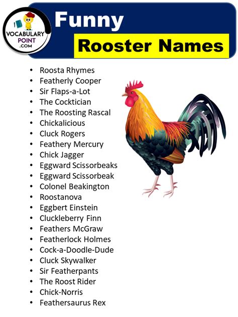 Awesome Rooster Names (400+ Best, Cute, Funny & Male) - Vocabulary Point