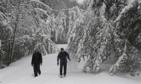 North and South Carolina to be pummeled by 'above average' snow as rare ...