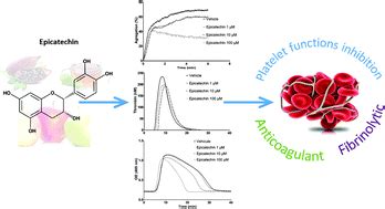 Epicatechin influences primary hemostasis, coagulation and fibrinolysis - Food & Function (RSC ...