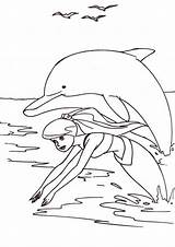 Dolphin Tale Printable Coloring Pages sketch template