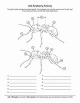 Askabiologistasuedu Magazines sketch template