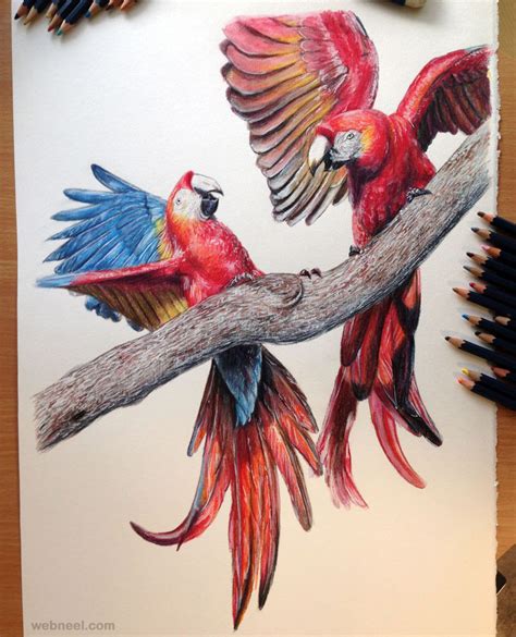 40 Beautiful Bird Drawings and Art works for your inspiration