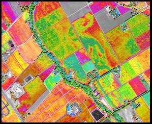 Remote Sensing and Geo-Information Technologies in Agriculture