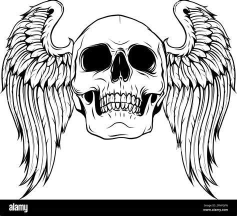 Skull Wings Silhouette Outline Drawing vector illustration Stock Vector Image & Art - Alamy