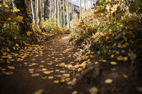 5 Ways to Celebrate Fall in the Vail Valley | Vail-Beaver Creek Magazine