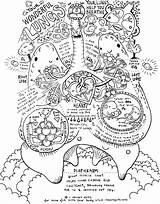 Human Anatomy Coloring Book Pdf Free Download sketch template