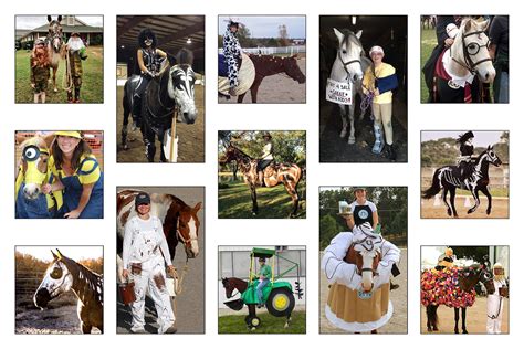 Top 10 Horse and Rider Costumes of 2018! #horsecostume #halloween ...