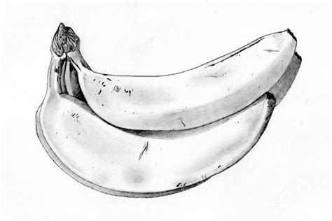 Banana Sketch Images at PaintingValley.com | Explore collection of ...