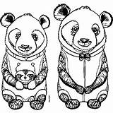 Panda Family Coloring Page · Creative Fabrica sketch template