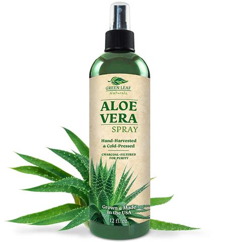 10 Best Aloe Vera Products for Hair Growth [ 2021 ] - Live Beauty Health