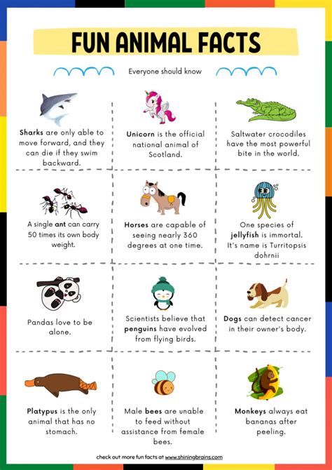 Fun Facts about Animals for Kids with free animal facts Printable